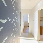 Apartment Viale Miramare 157 Tirabora Short Rent *